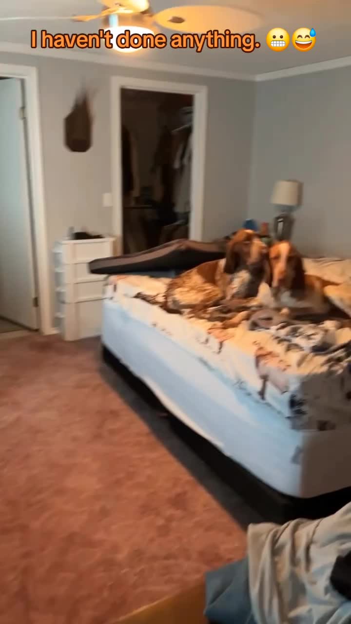 @🤣Vid&eacute;os Dr&ocirc;les.Zzz