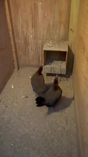 @G3 Farm & Fowl Supplies