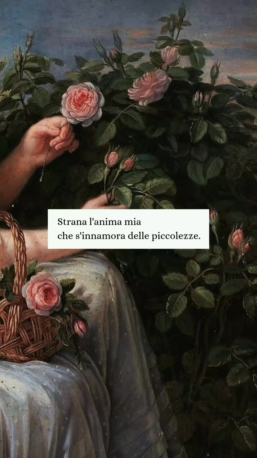 @Elle • Libri & Citazioni