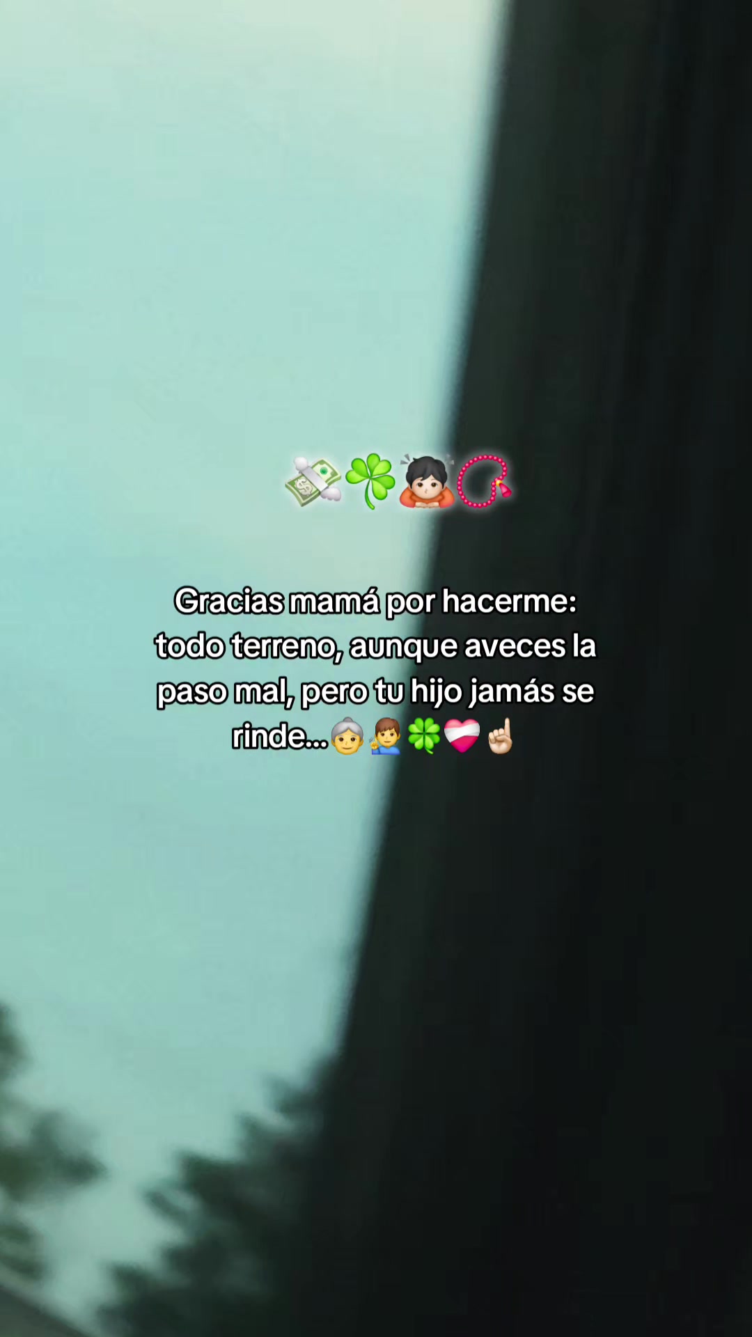 @🧸EL TEAM🫡🫡🌻🐰🌙😈 ▄︻══━⁵⁰&sup2;