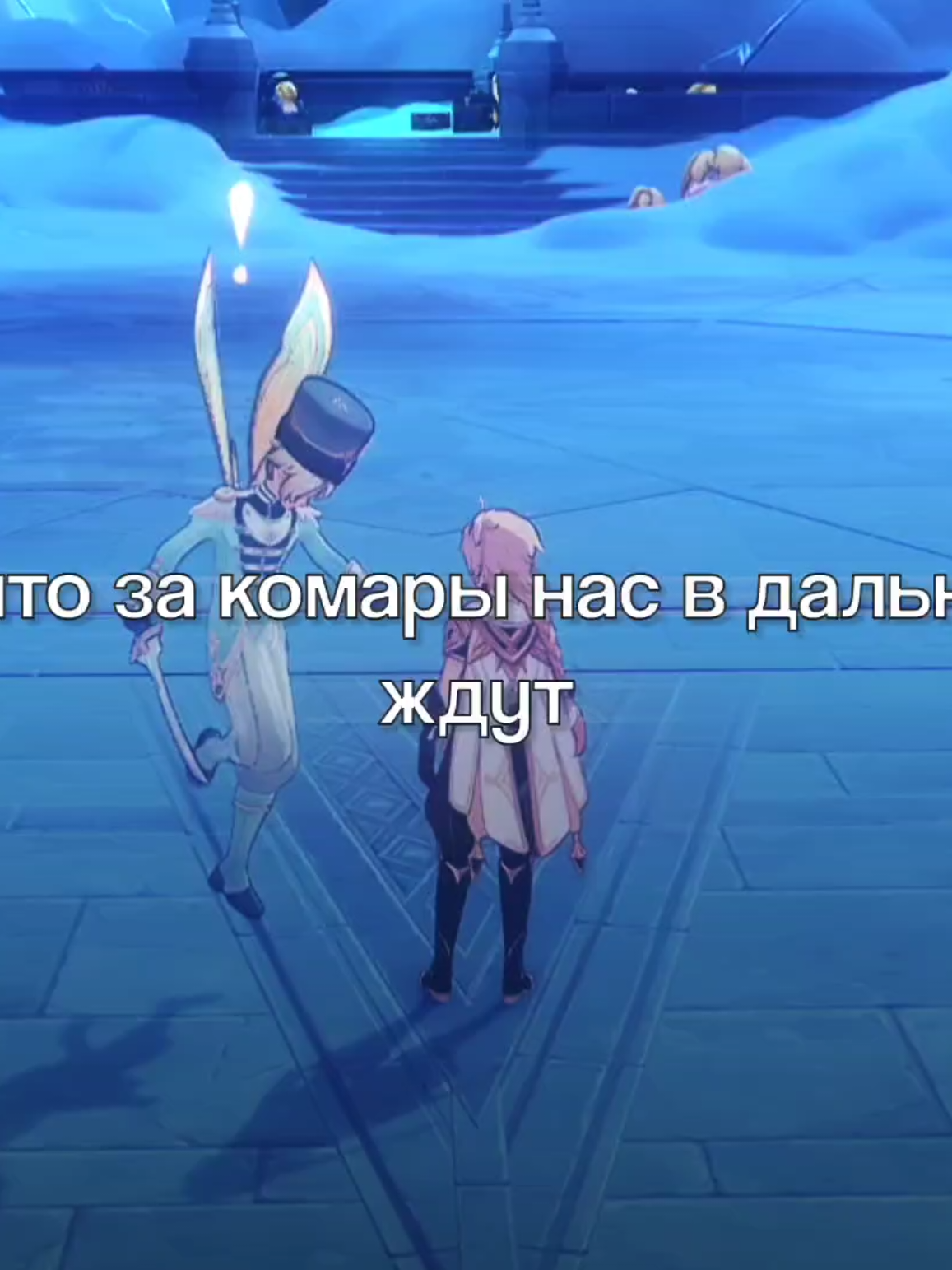 @кот
