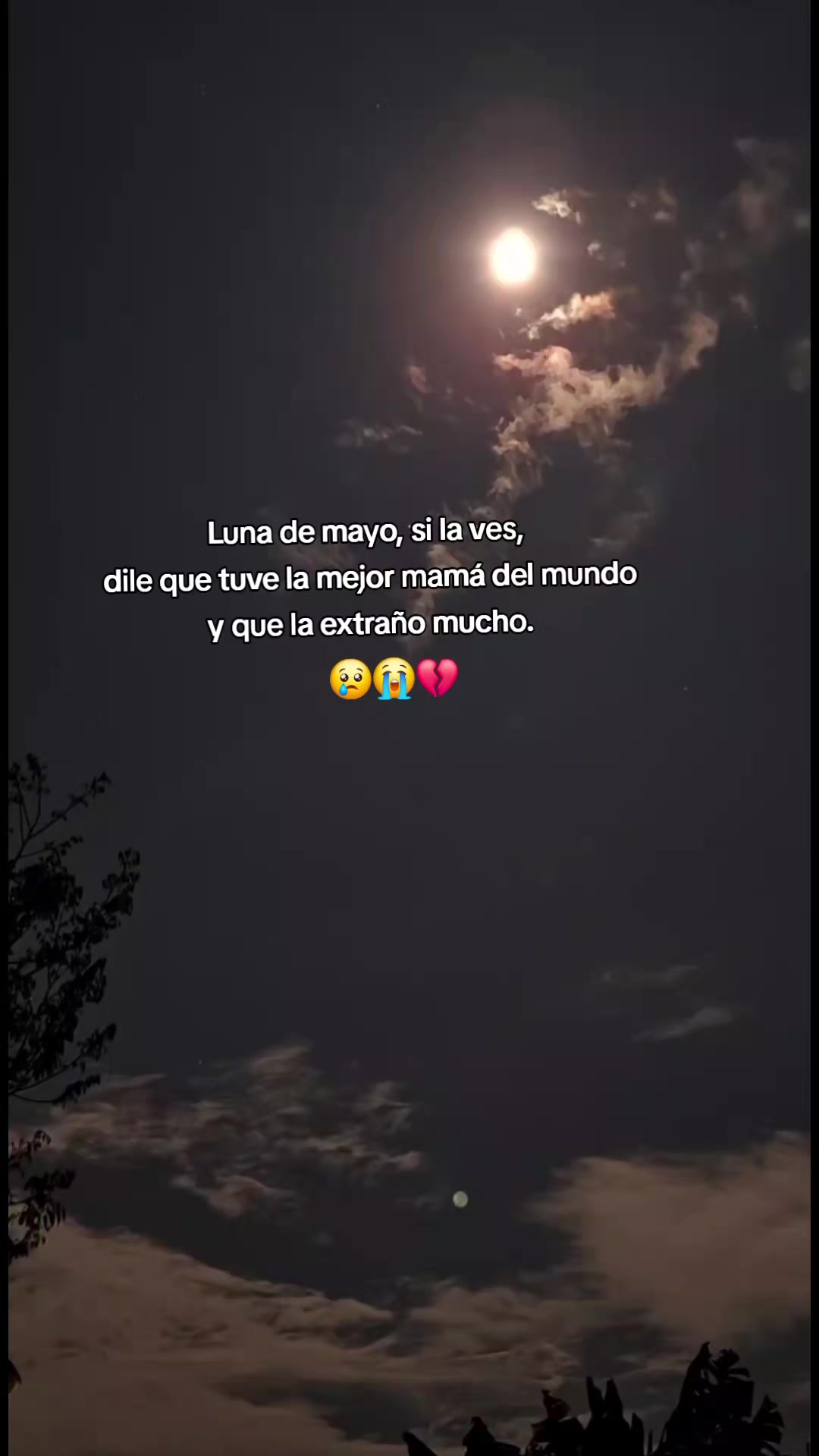 @rodriiguiit00