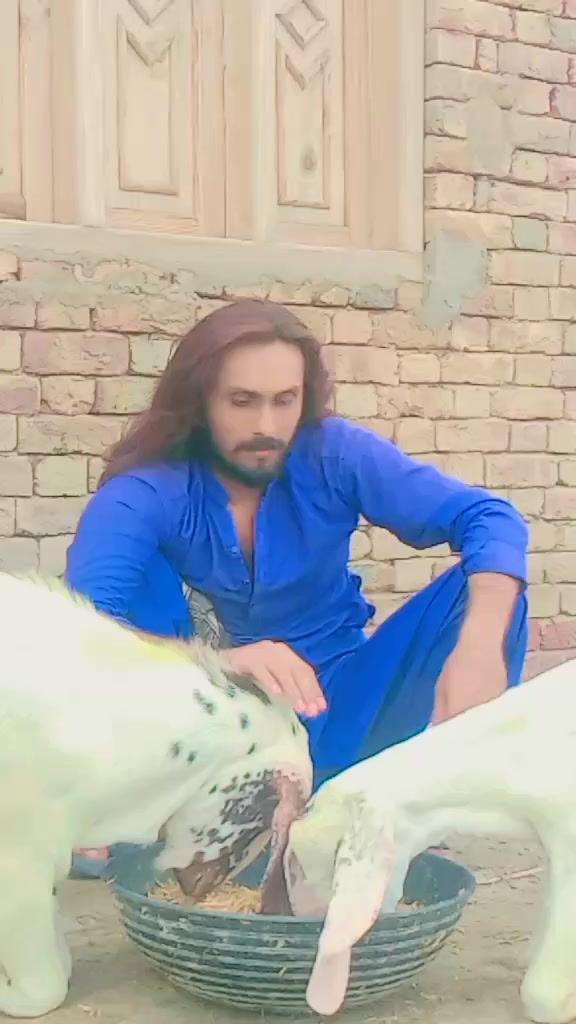 @Gulzar Ali official