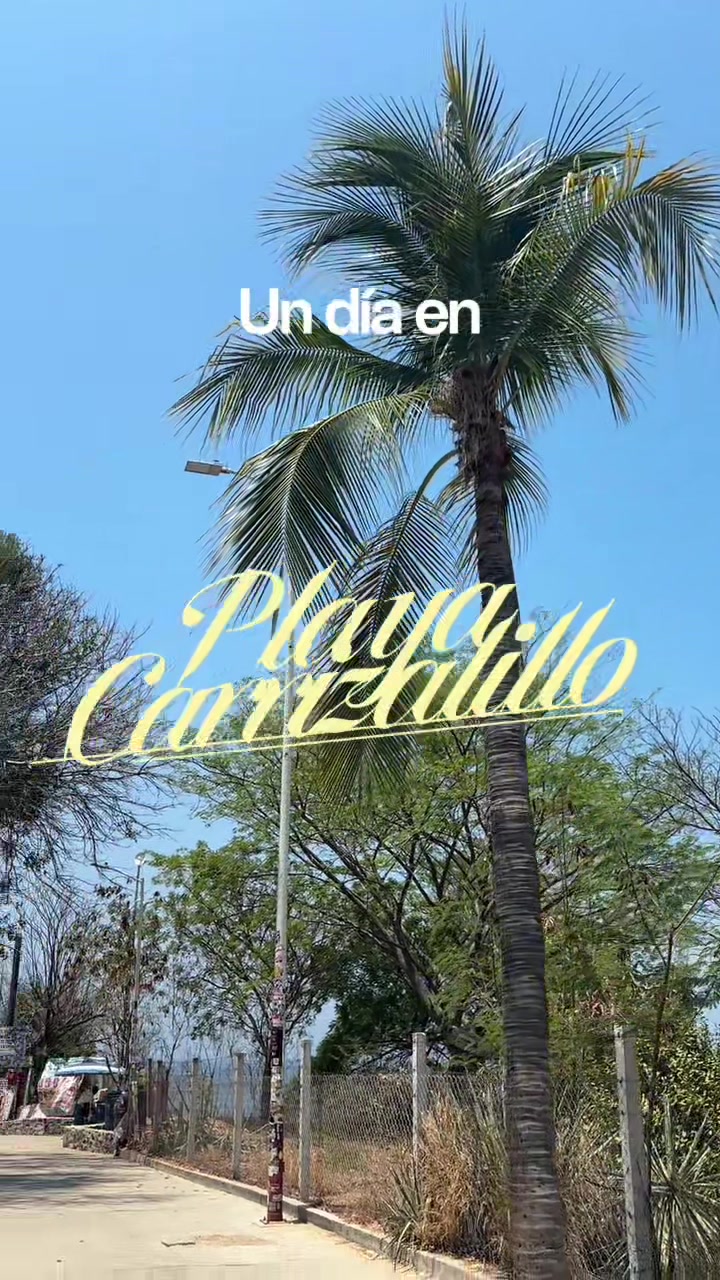 @Maldparra🌹