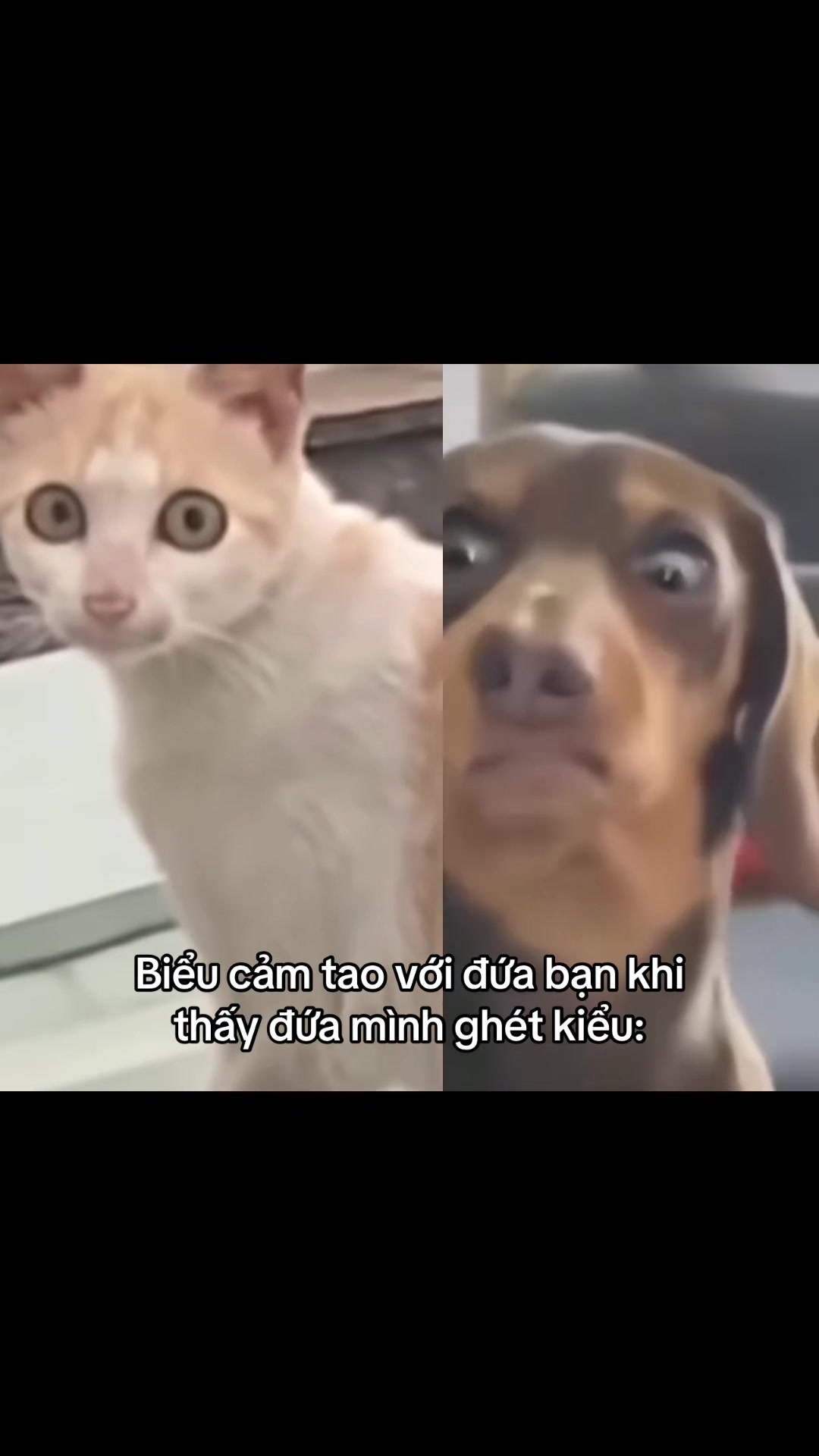 @B&uacute;p B&ecirc; Xinh Xắn
