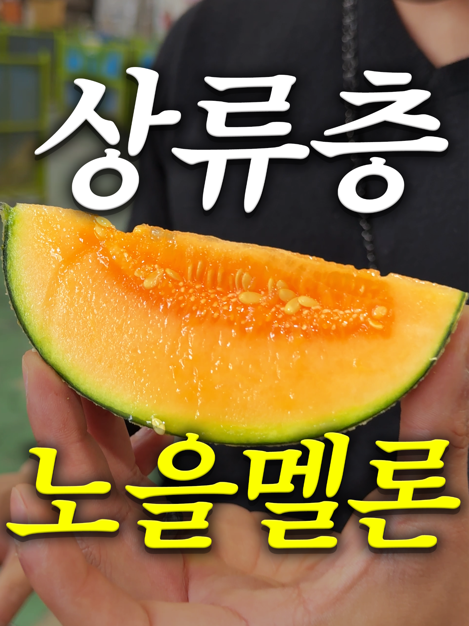 @해운대송사장