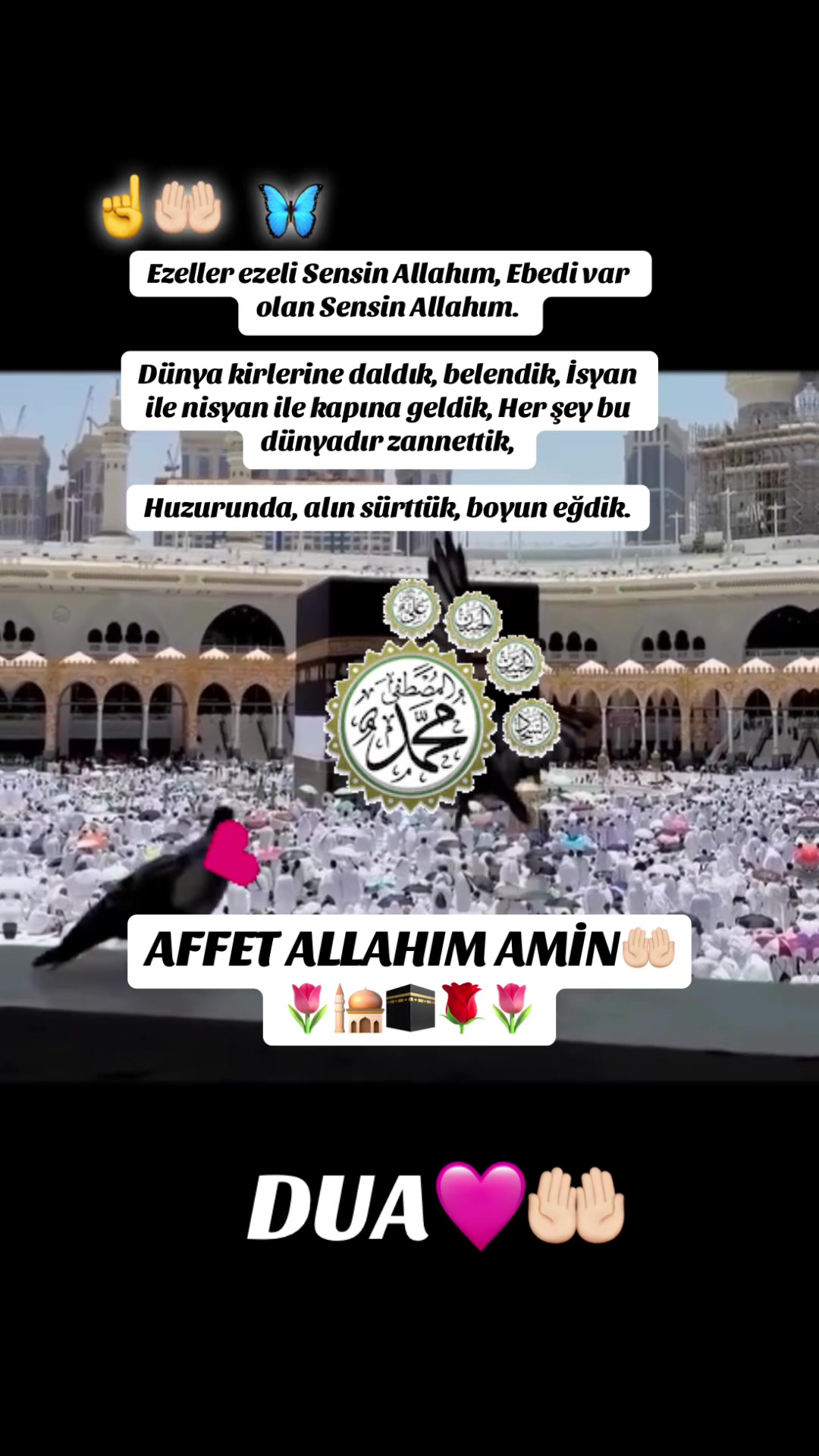 @🇹🇷 ͜͡✭𓃥 αүүιℓ∂ιz🦅🐺🤘A.S✨9