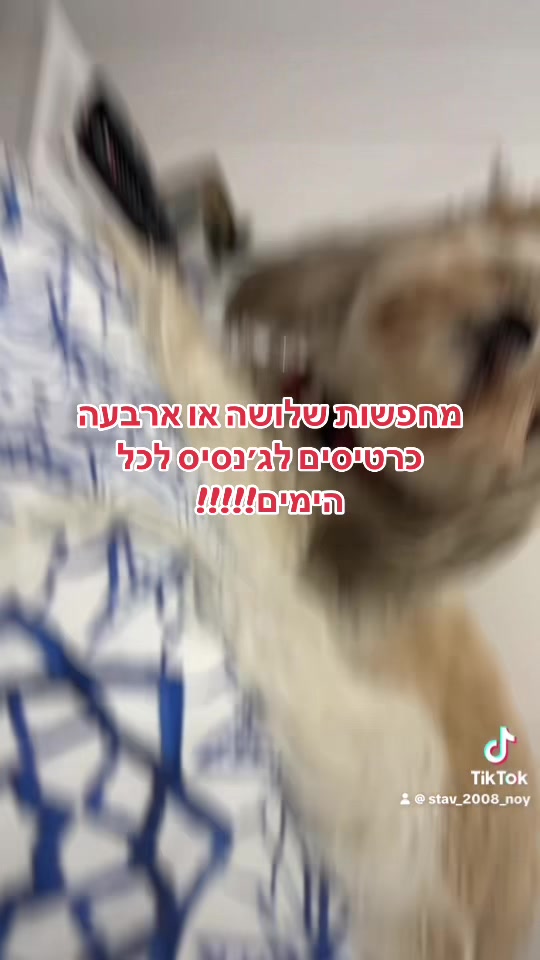@haherkevvv