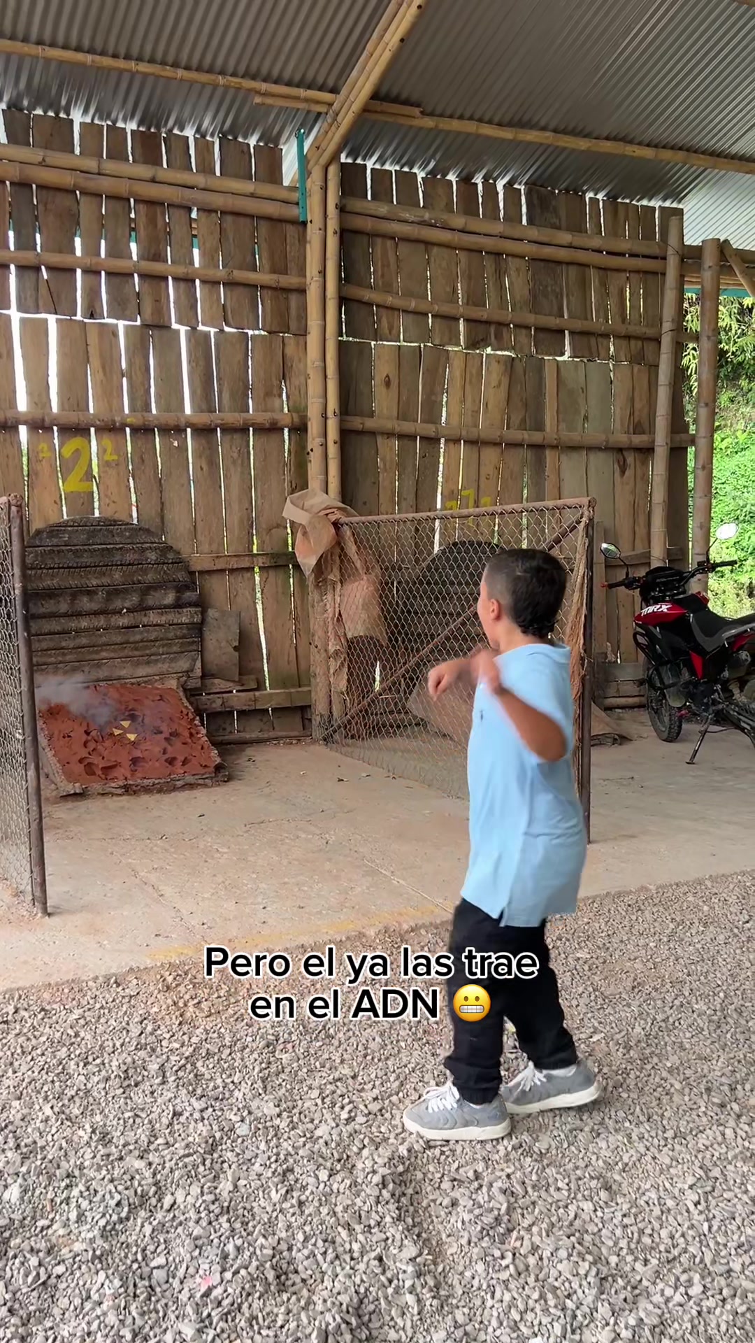 @Ximena Hoyos 🥑