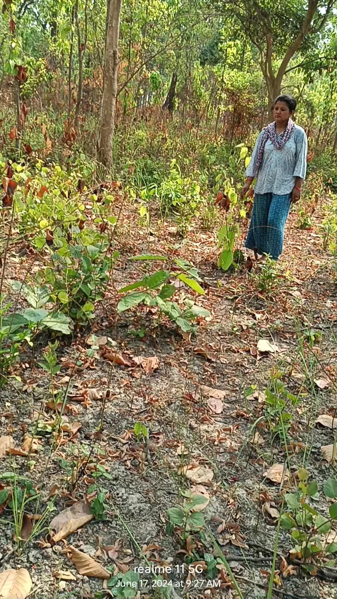 @Shanti Tiwari Gaire