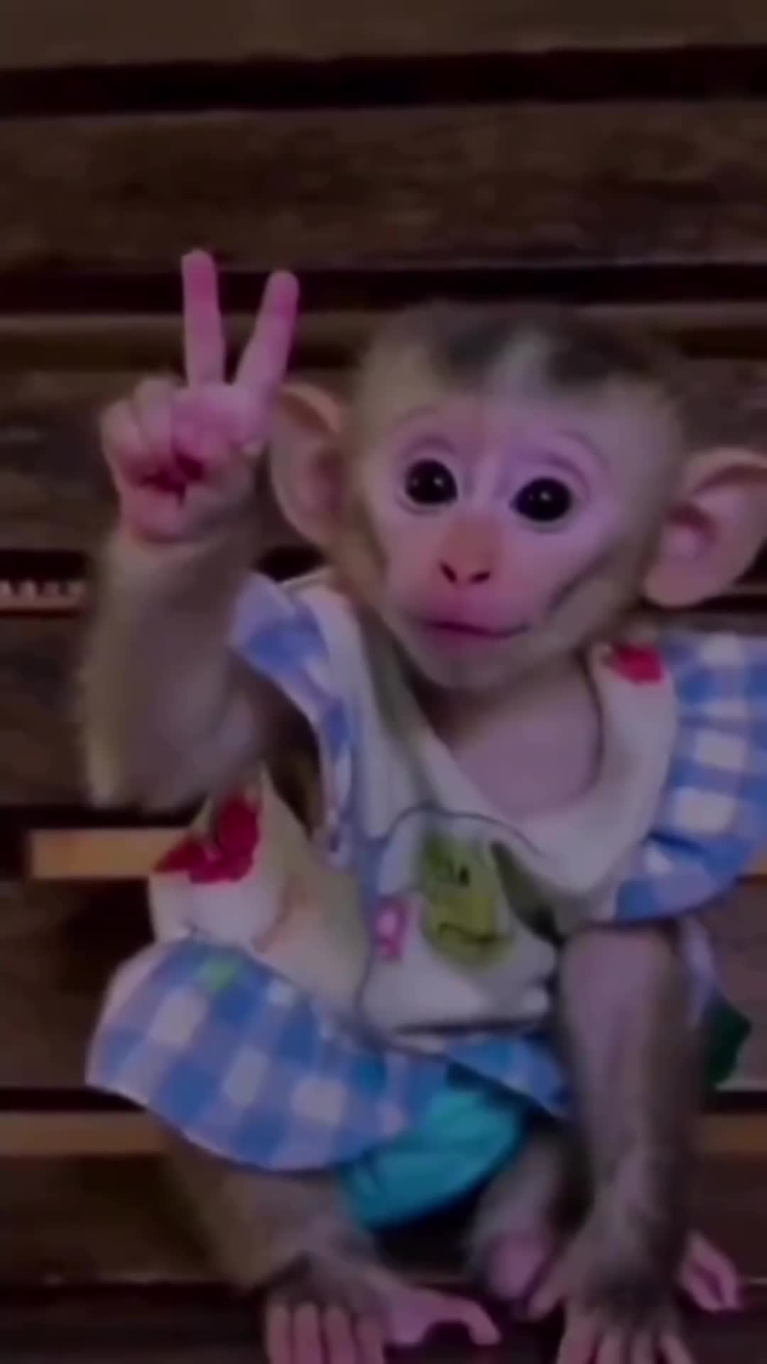 @♍ДеВа♍