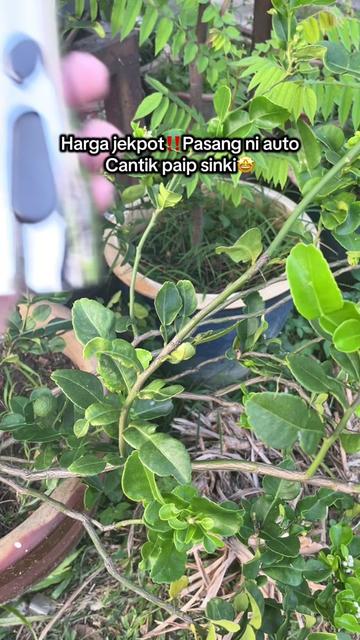 @Nur Eiyda✨🕊️