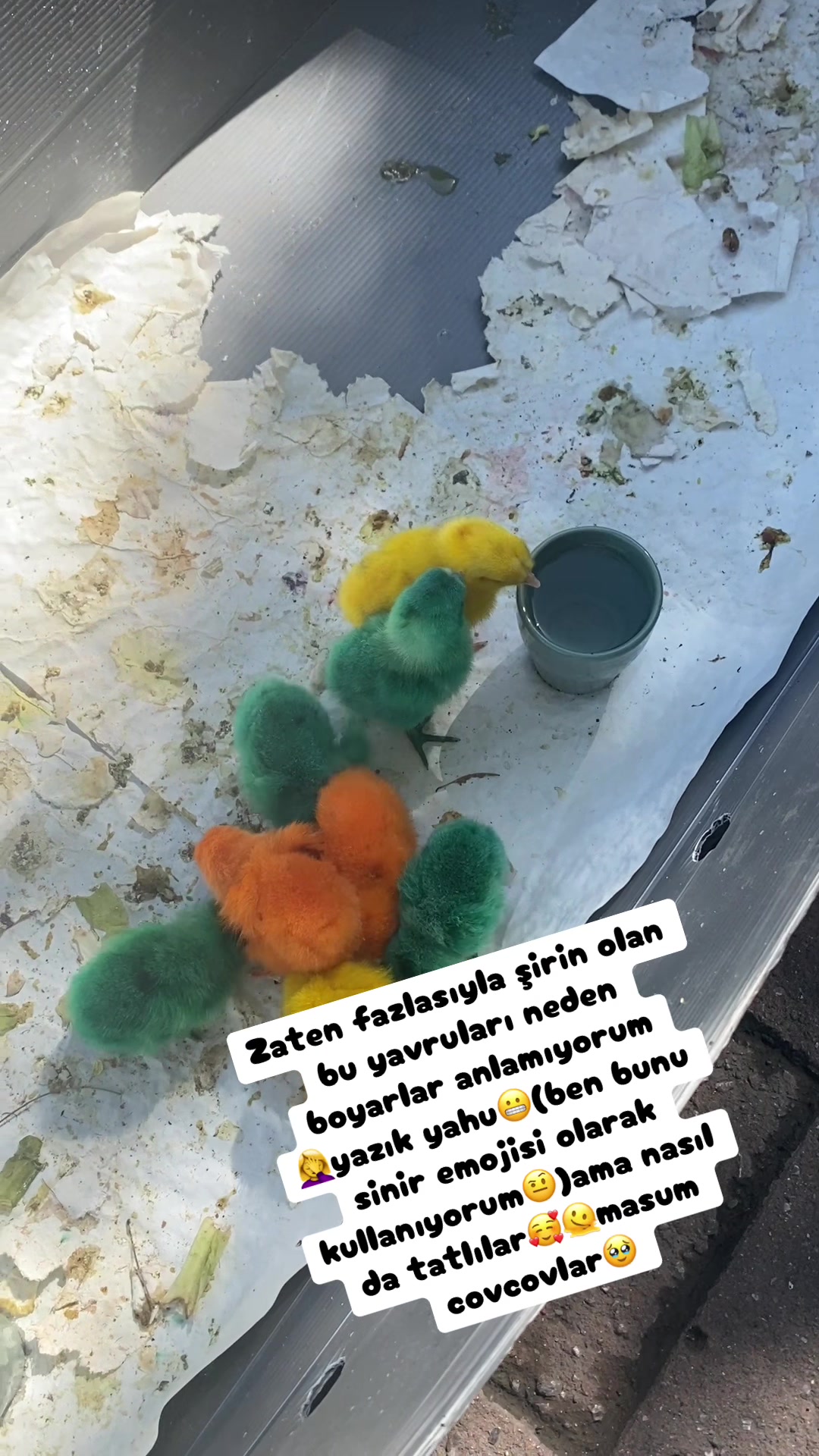 @Şapkalı Kadın
