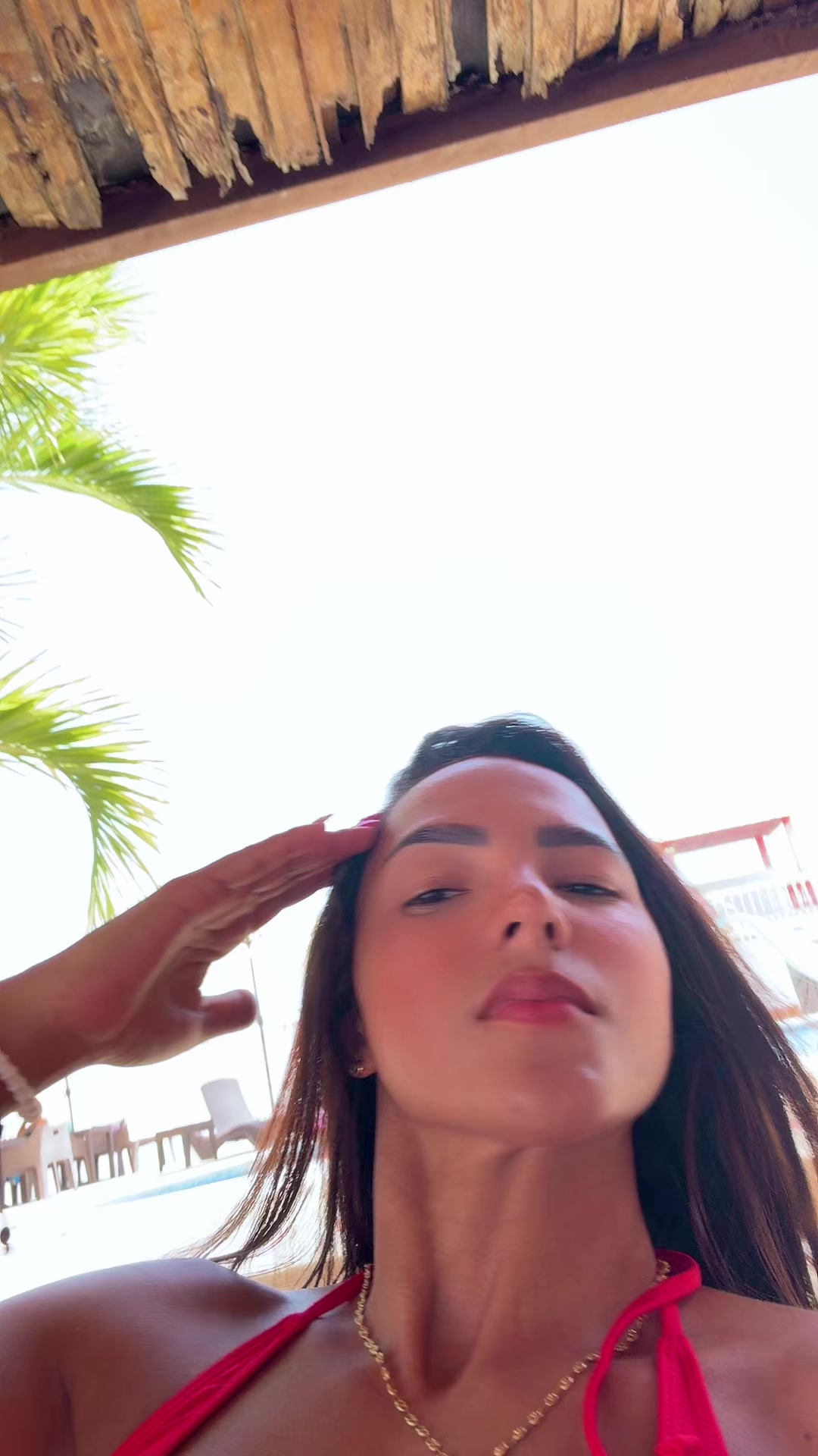 @Dani