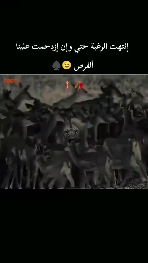 @MOHAMMAD AL_QUDAH