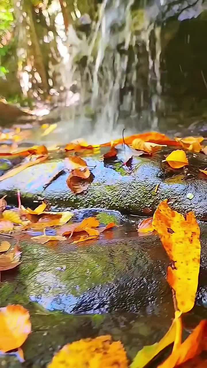 @ang_erwin68