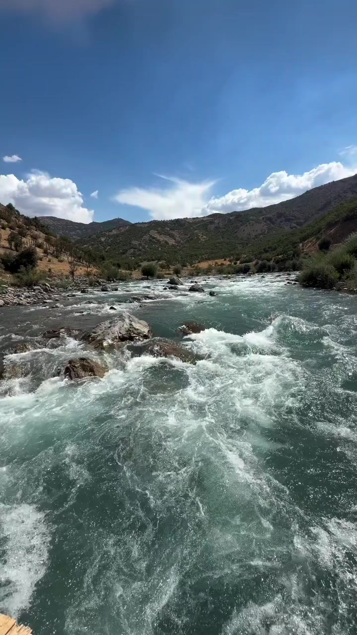 @özgür🌿
