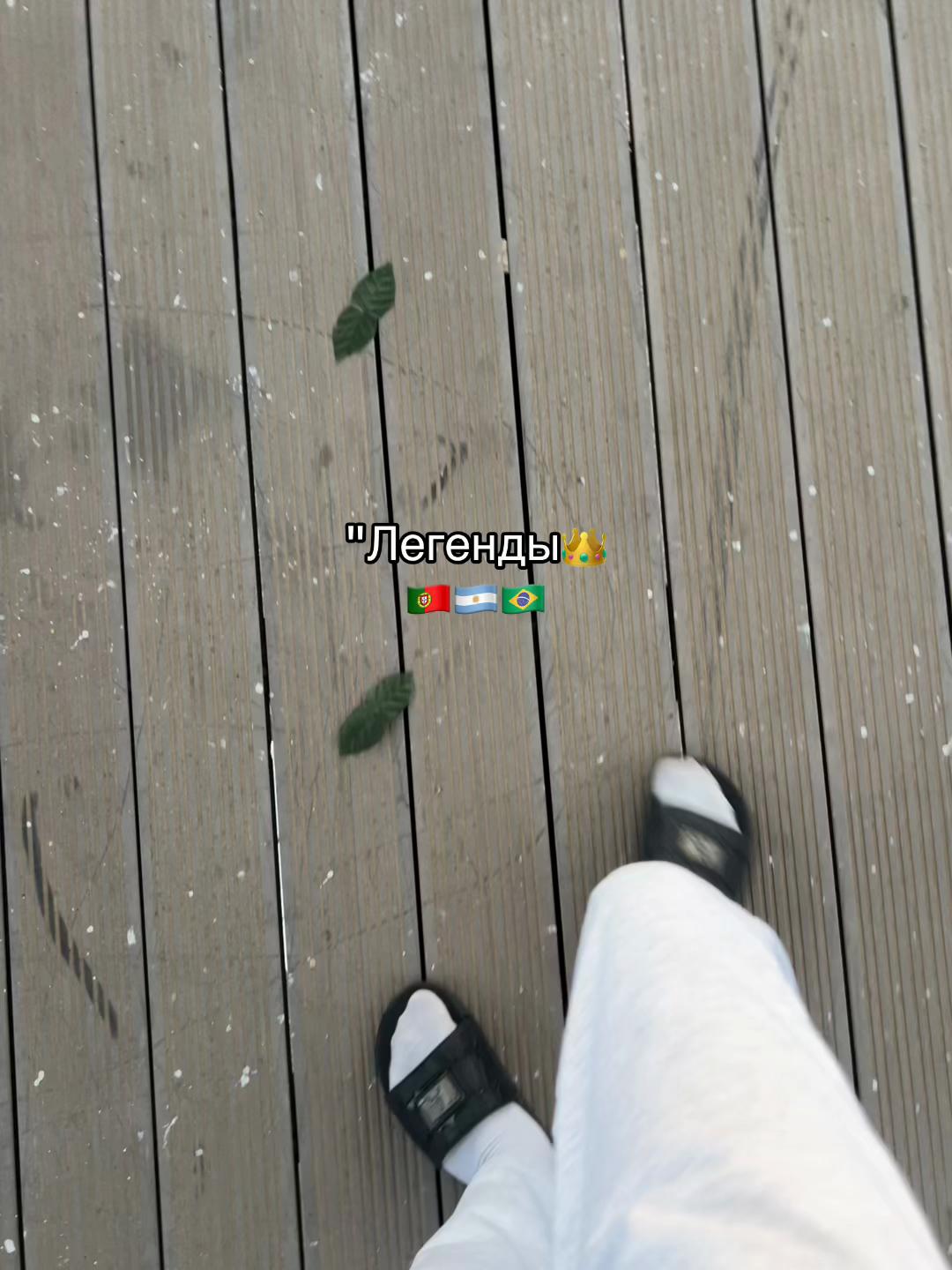 @svord🇹🇲