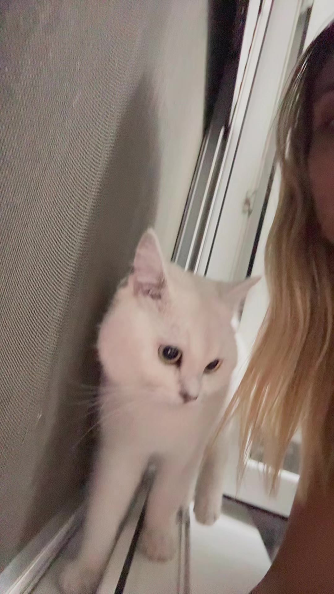 @jovanasiljkovic30