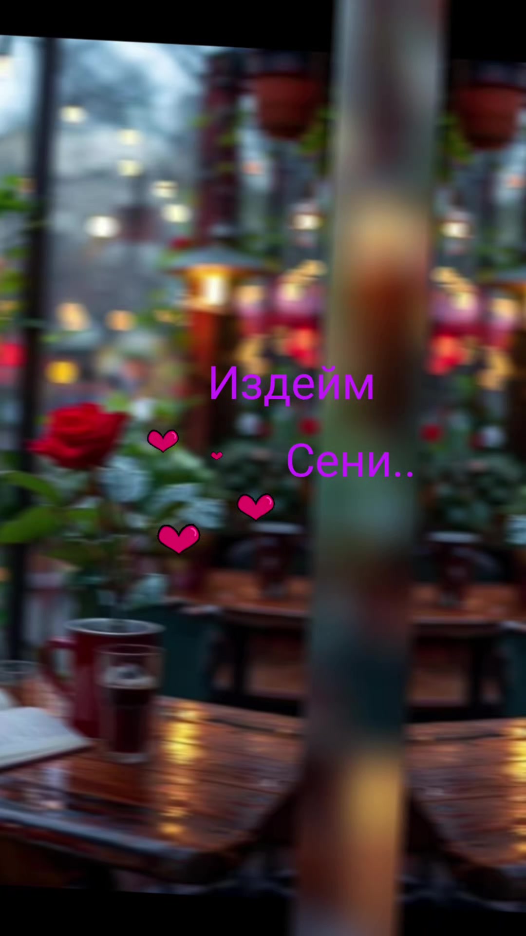 @🎀M&M