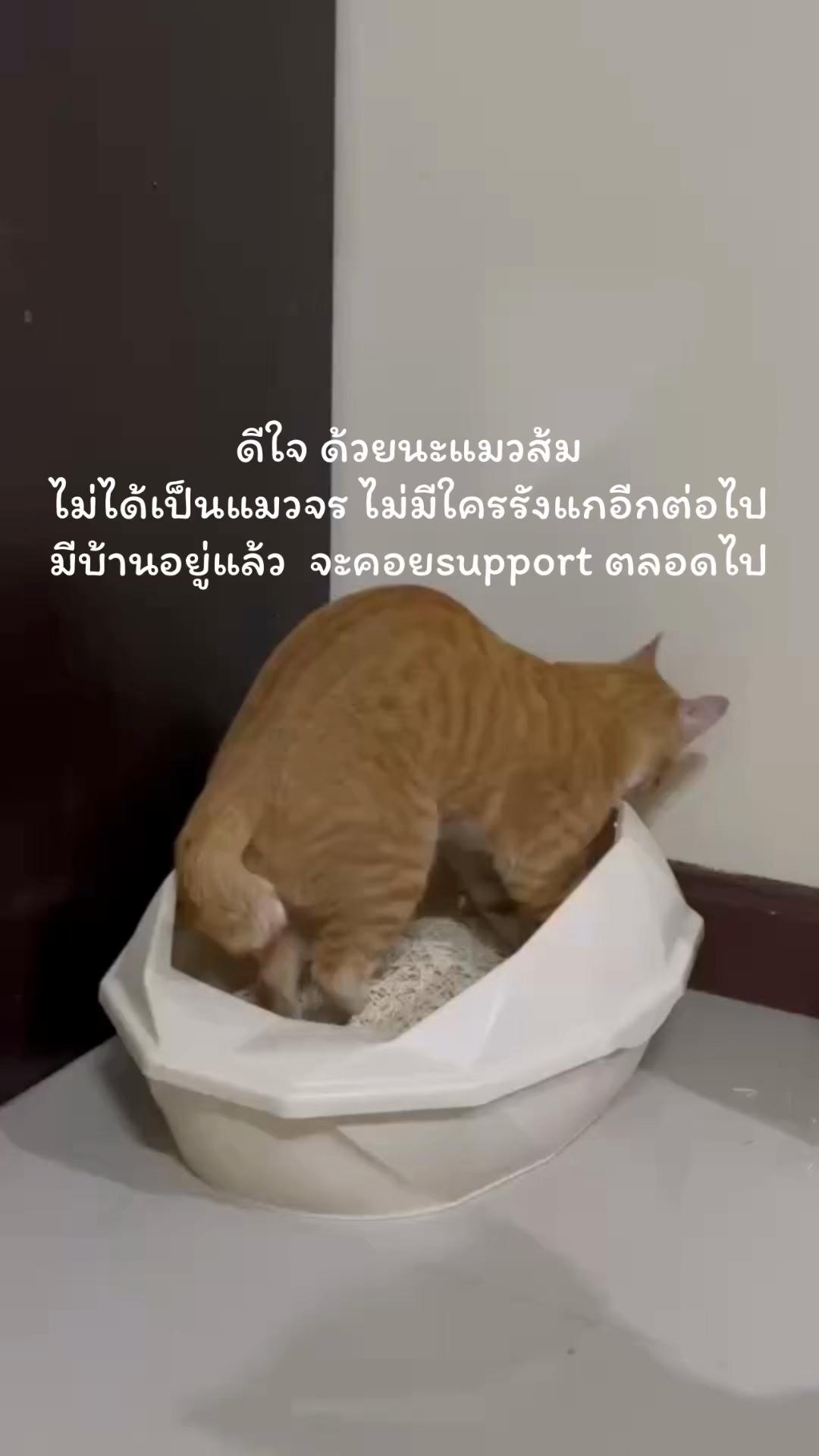 @แอน