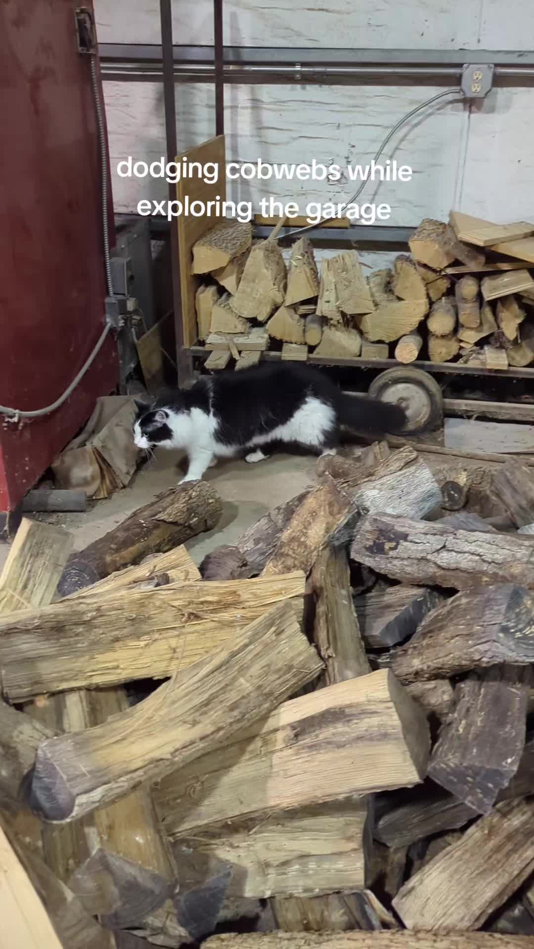@Ozzy Sweatpants