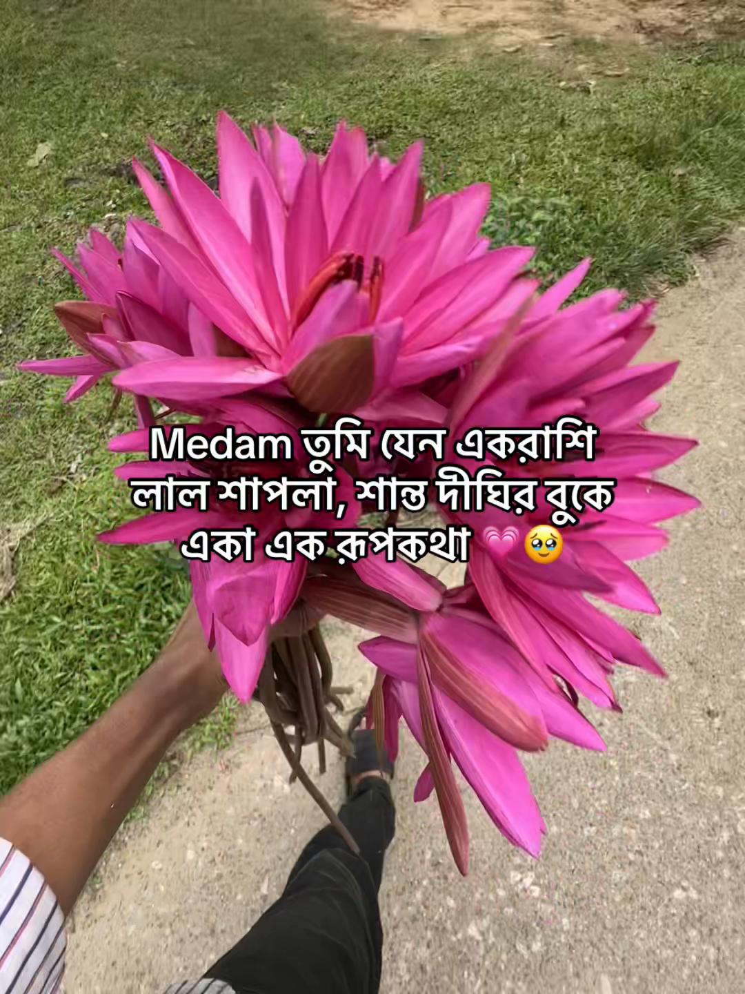 @ᗴᒪᎥᗩᔕ ᑕᕼᗝᗯᗪᕼᑌᖇƳ💋