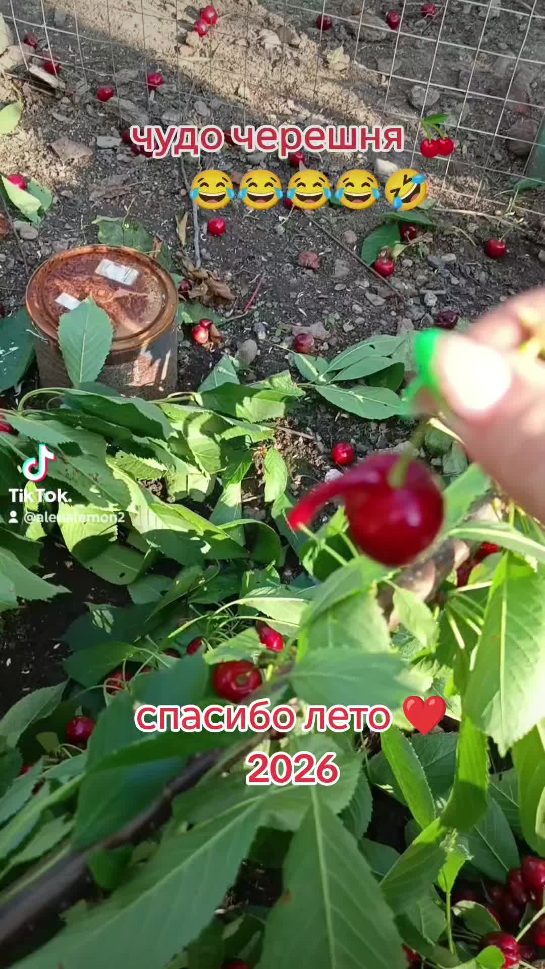 @Алёна