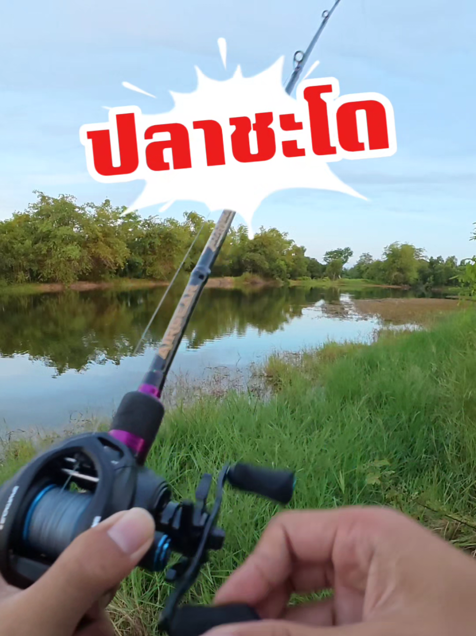 @กาเล็บโป้