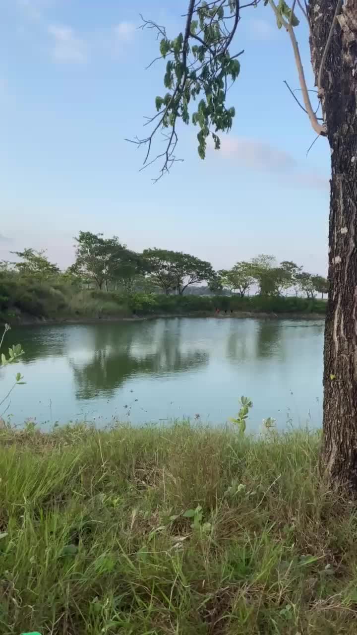 @harachann