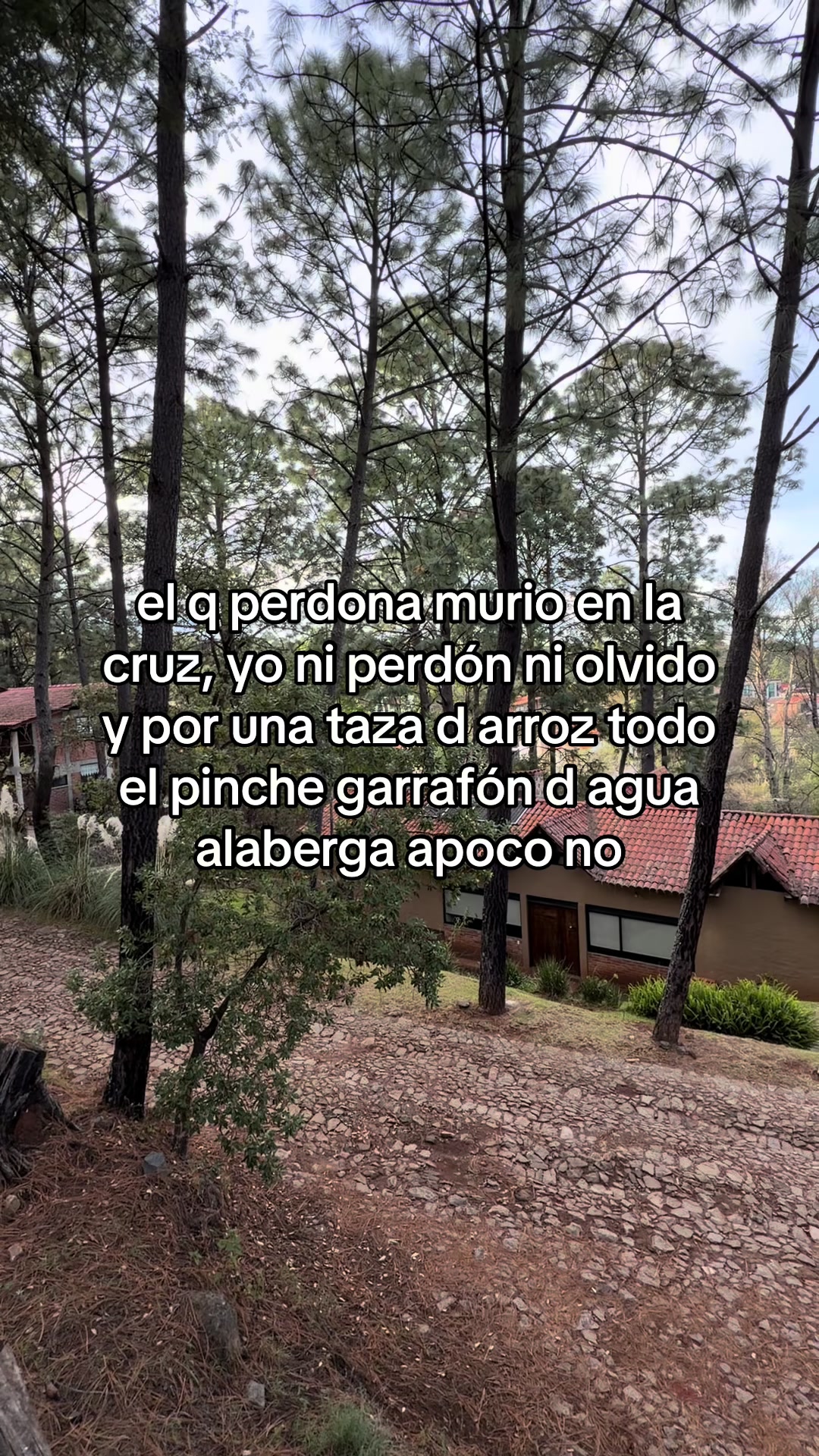 @mely