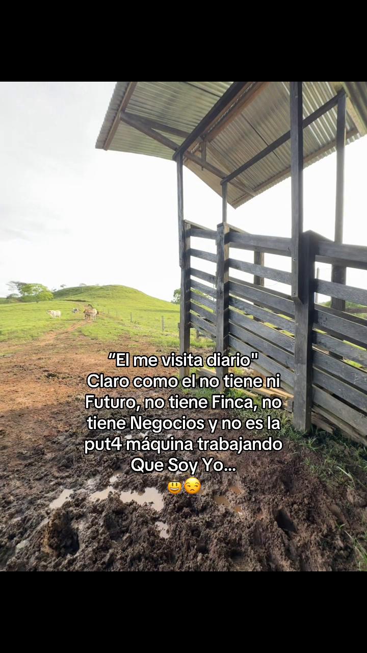@Didier_🤠