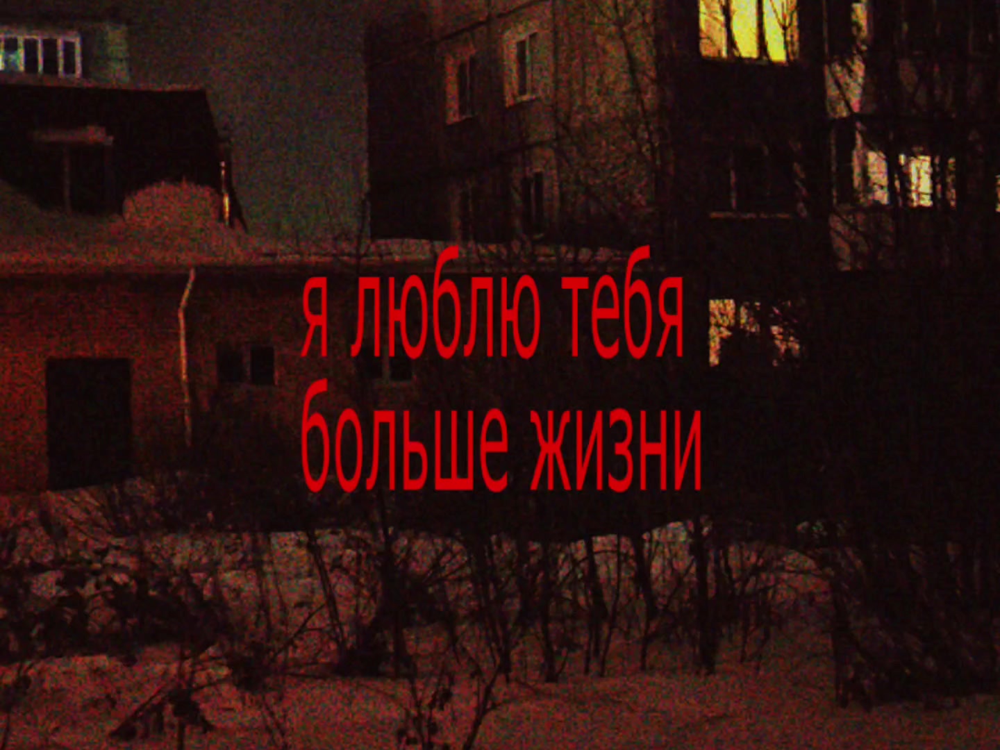@тгк: caliniamusic