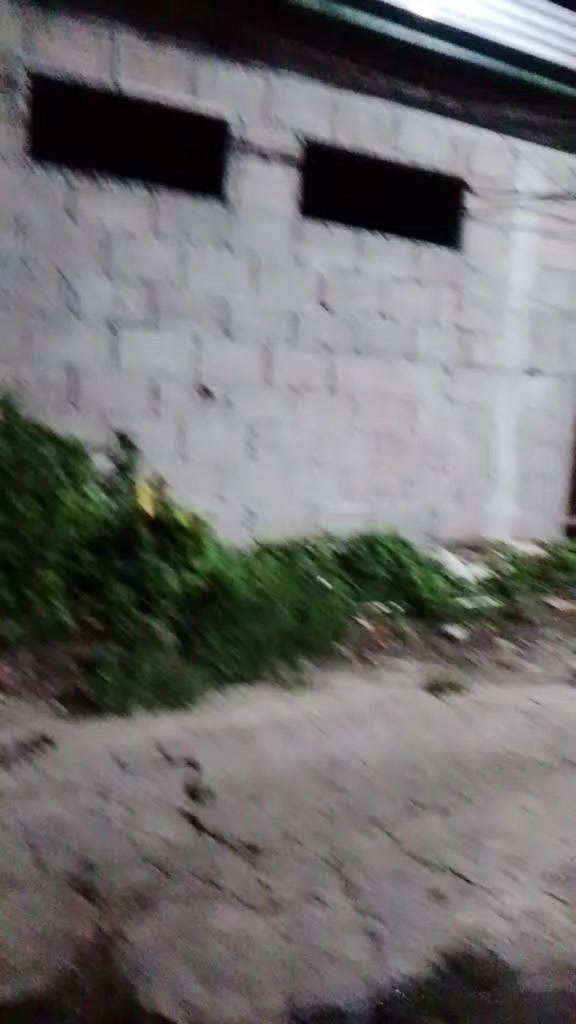 @gojo