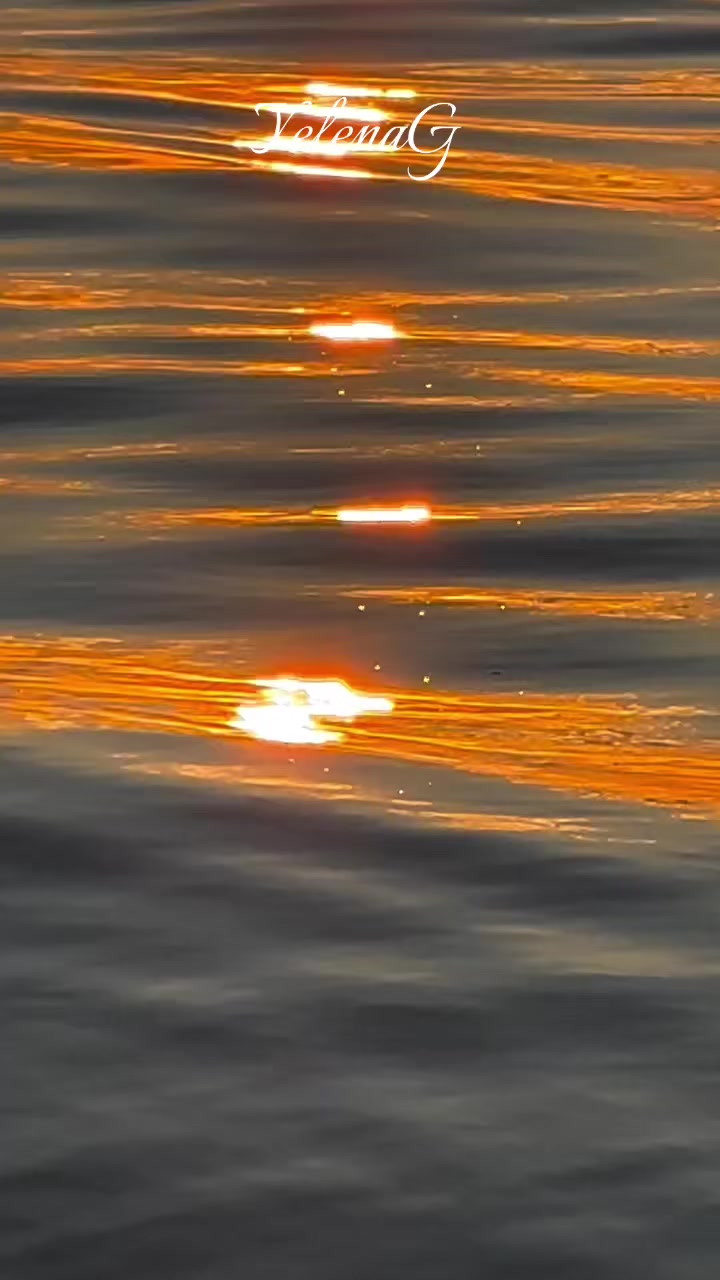 @🕊️❤️🕊️