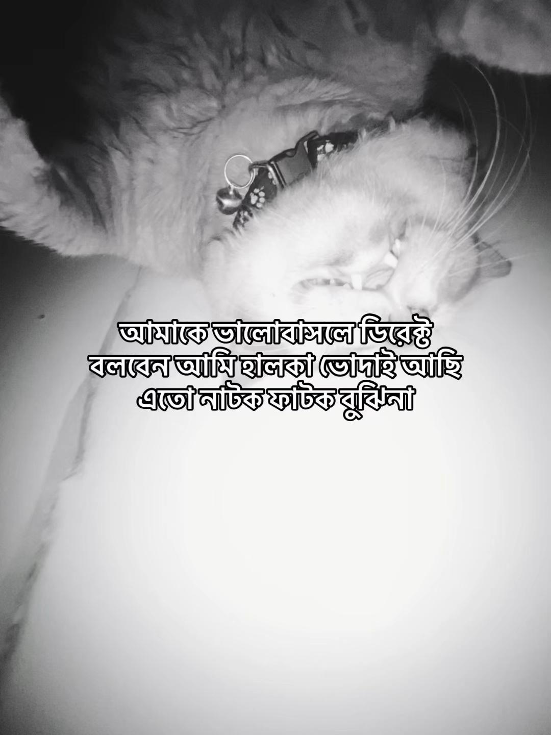 @al_uu