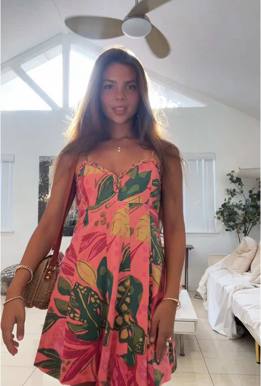 @kimi 🌺🌞🎨