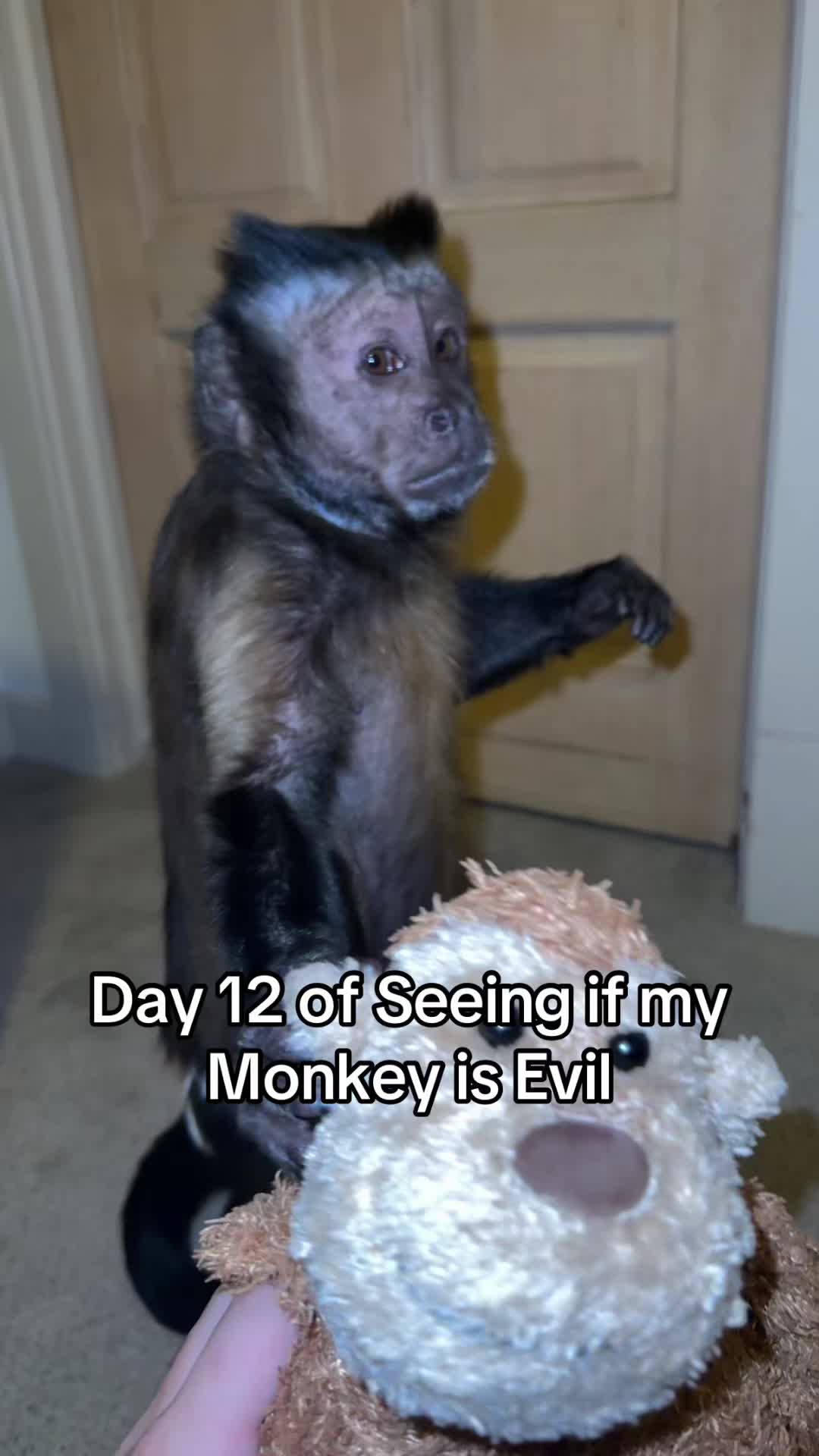 @dexthemonkeyy