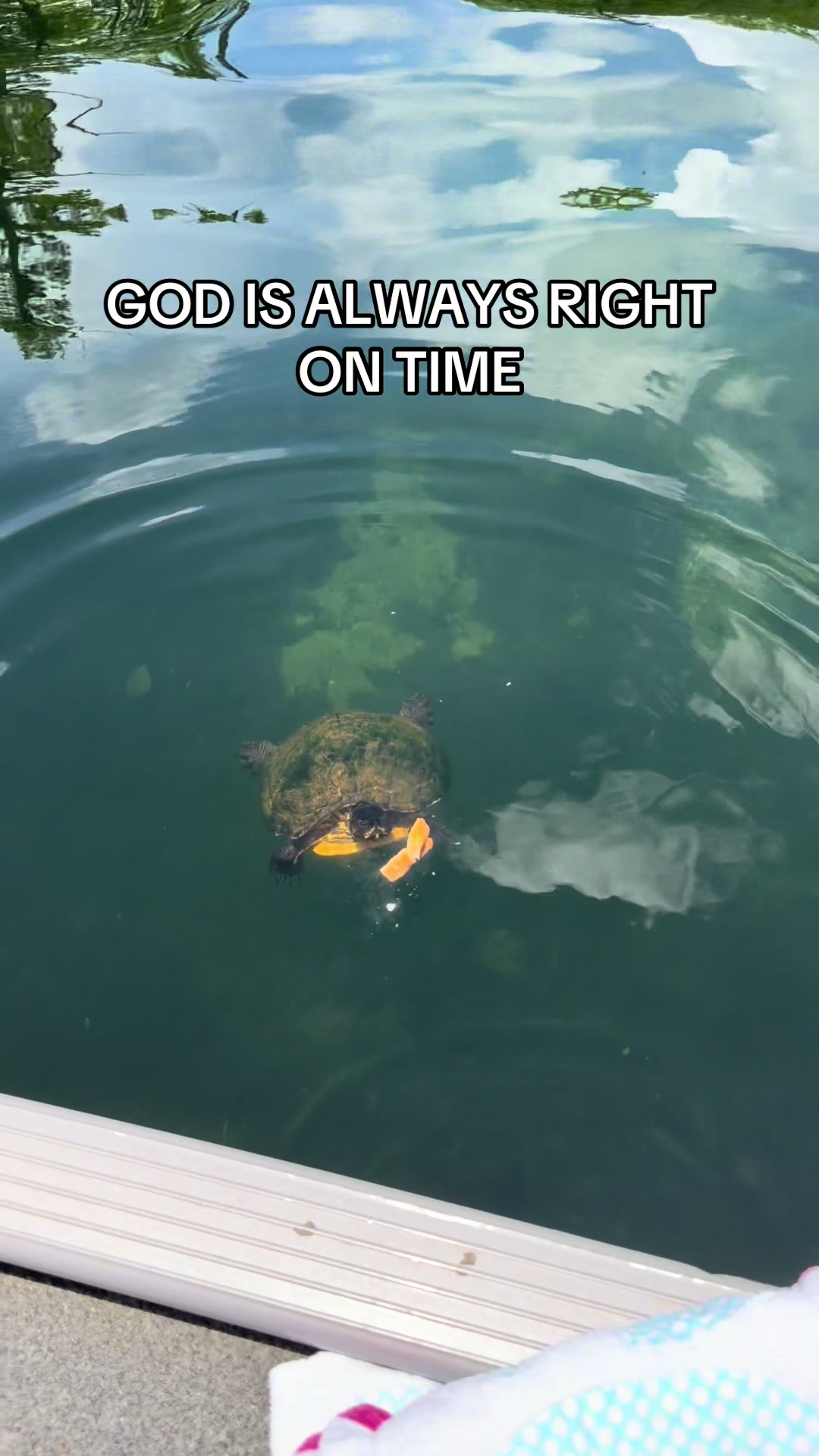 @maceemccan