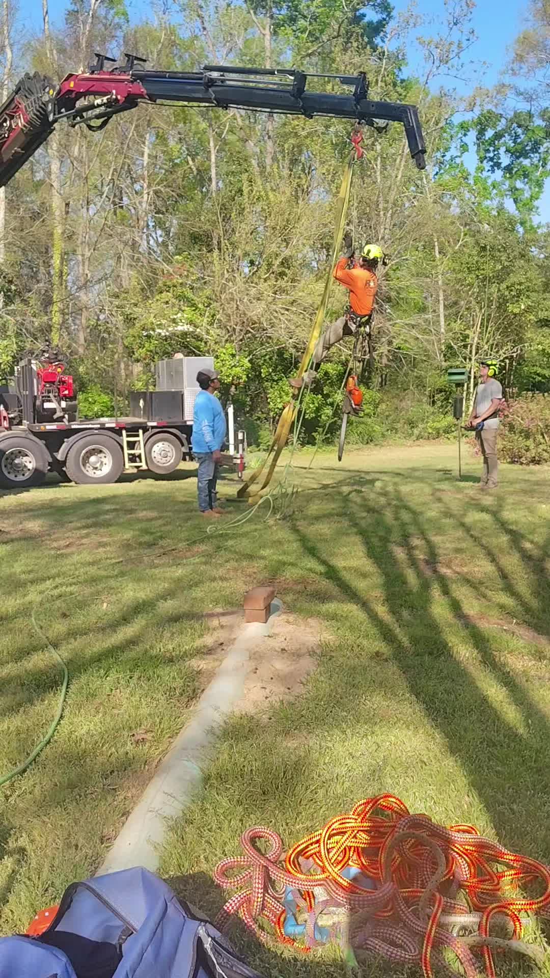 @R&G tree and landscaping