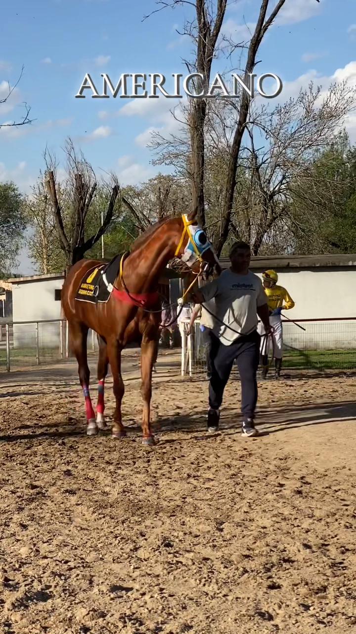 @Sofii Brito🏇🏽