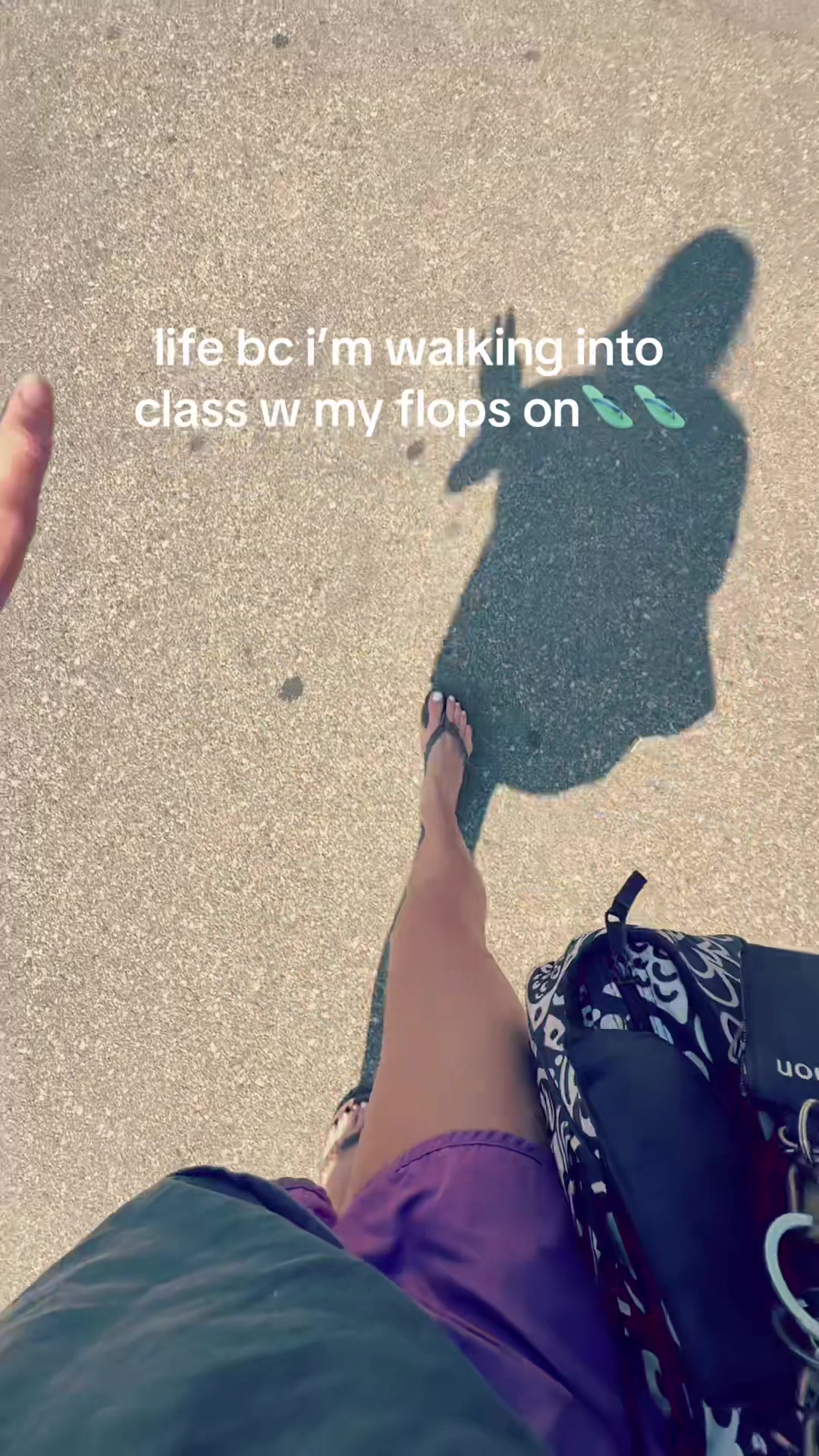 @drabee🪸