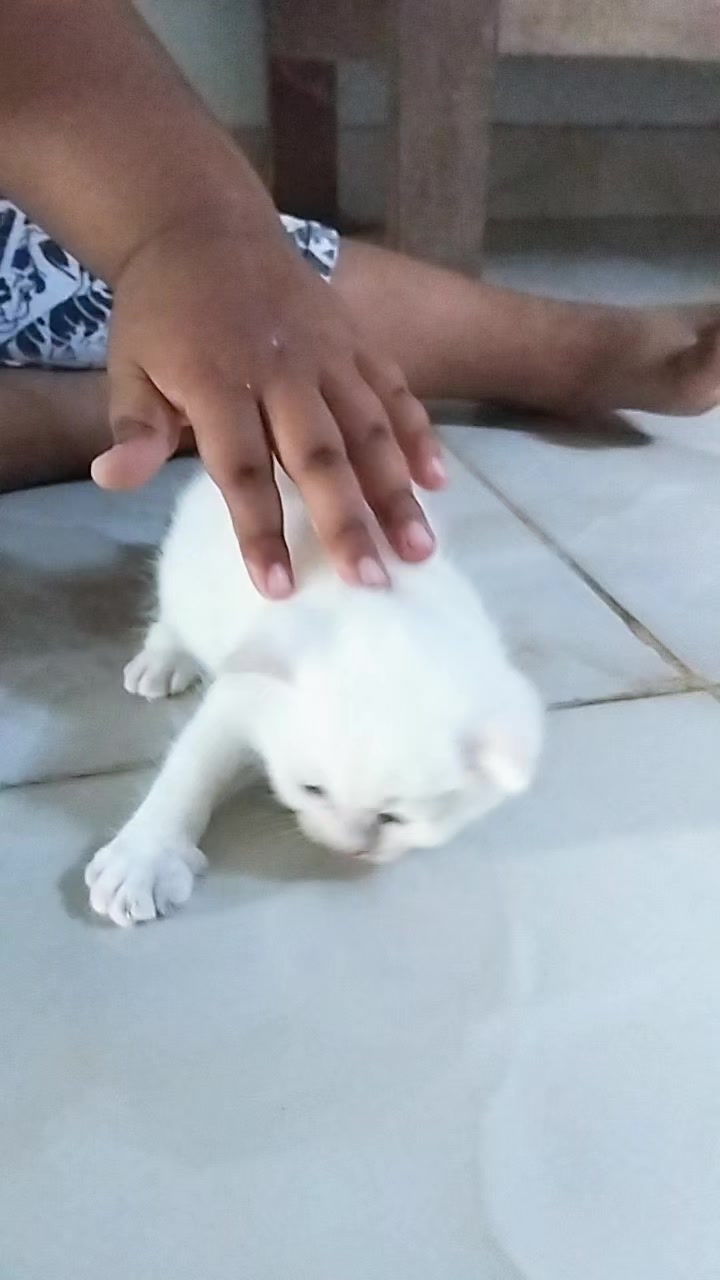 @Erma Mawing