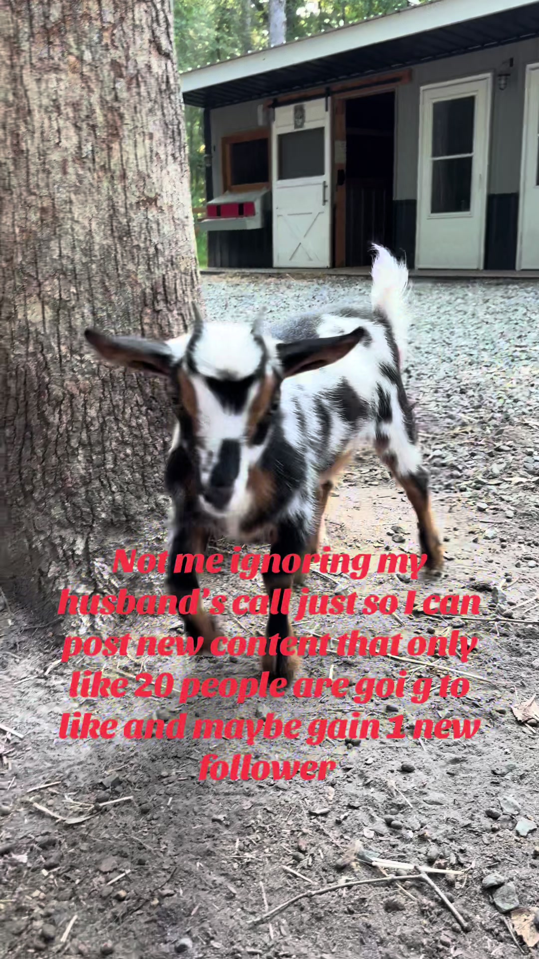 @whiteoakacres