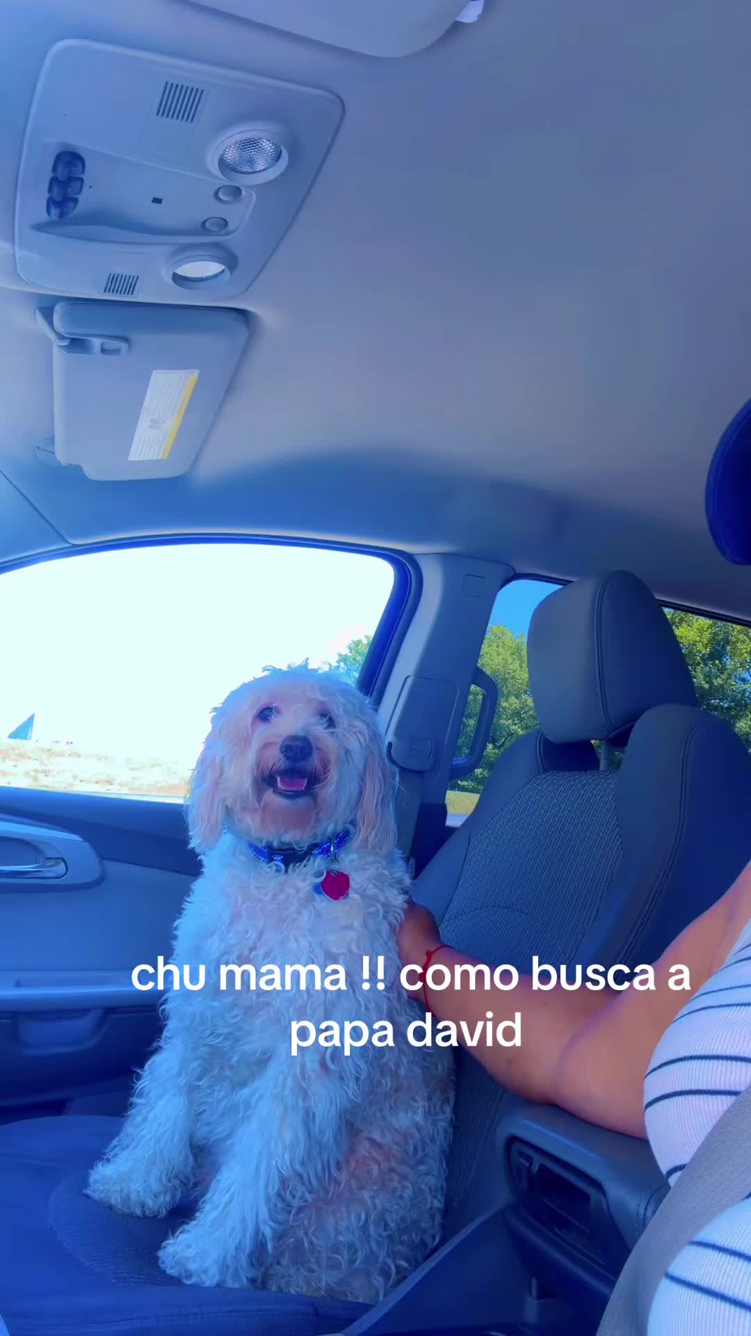 @Margarita Valdez