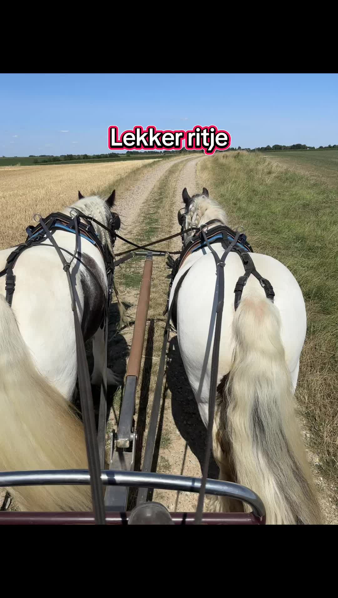 @Syrche Cordewener