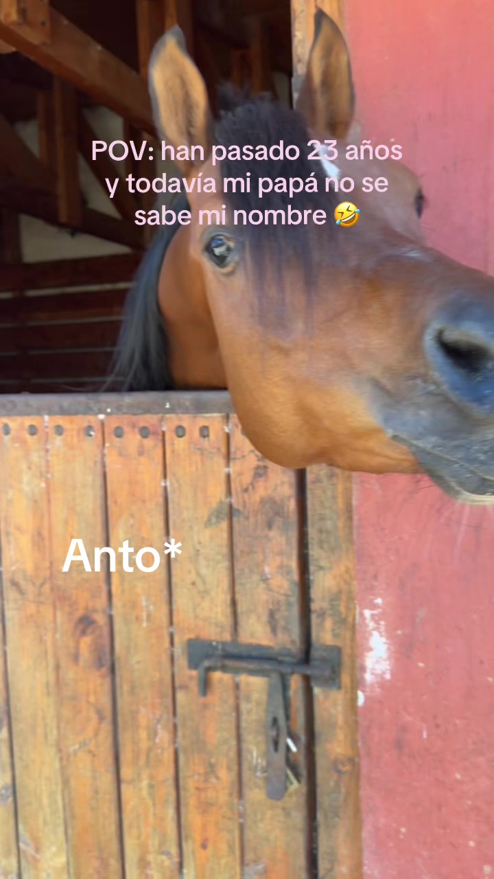 @matilde duch