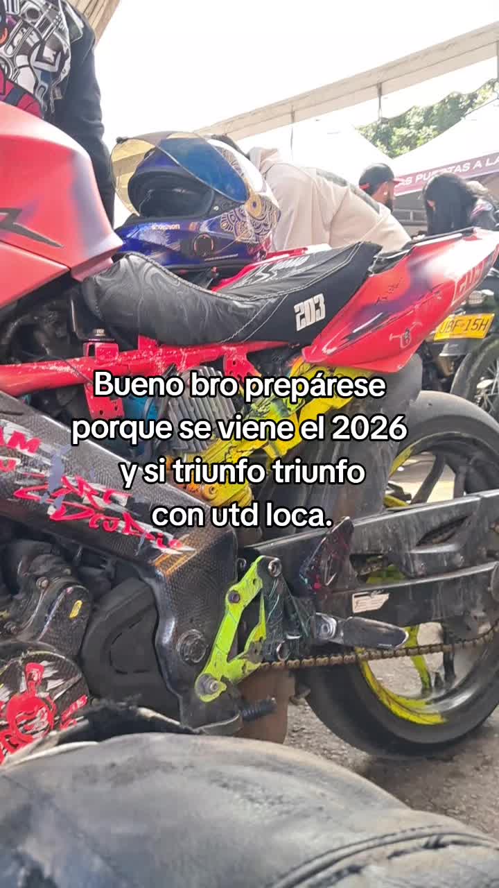 @203el mono.