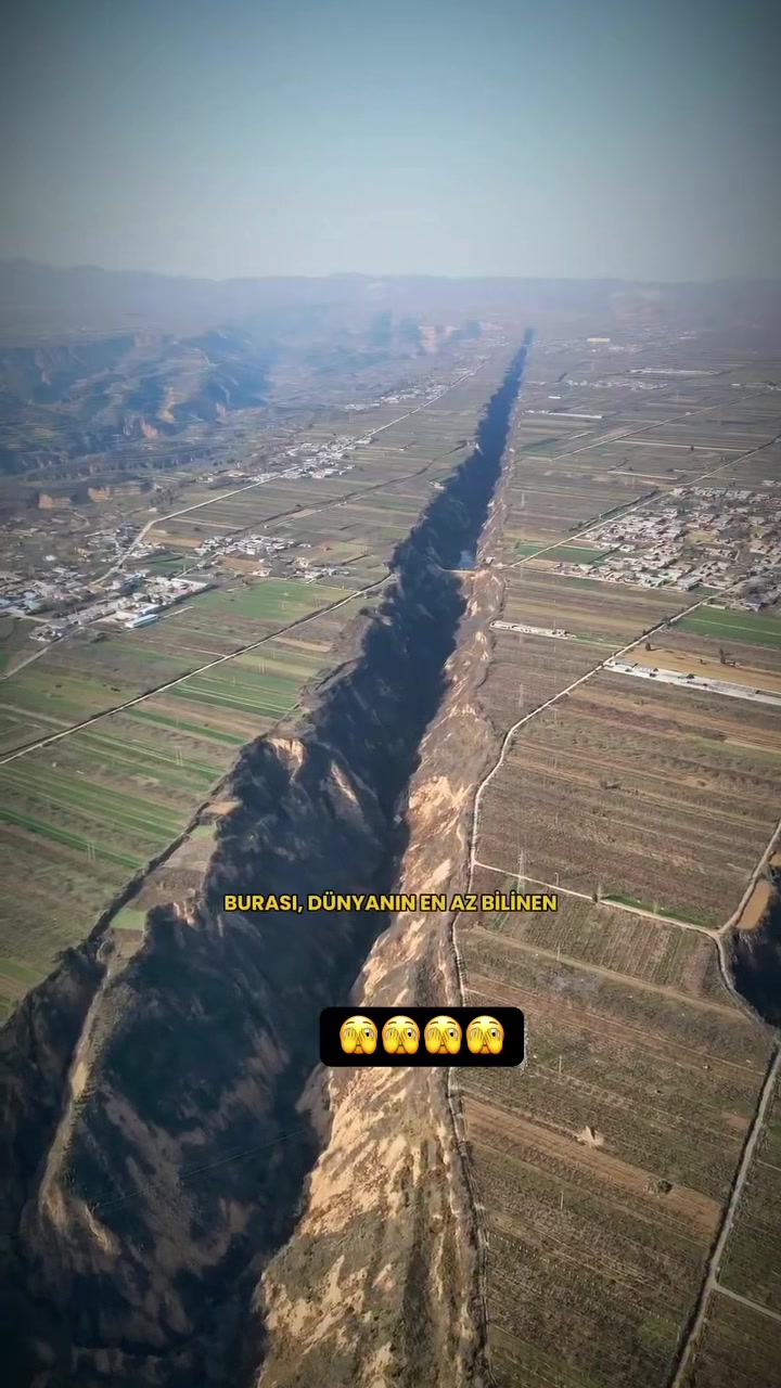 @avrupadayasamm