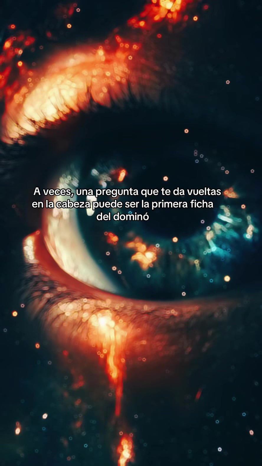 @YoSoy_Tani